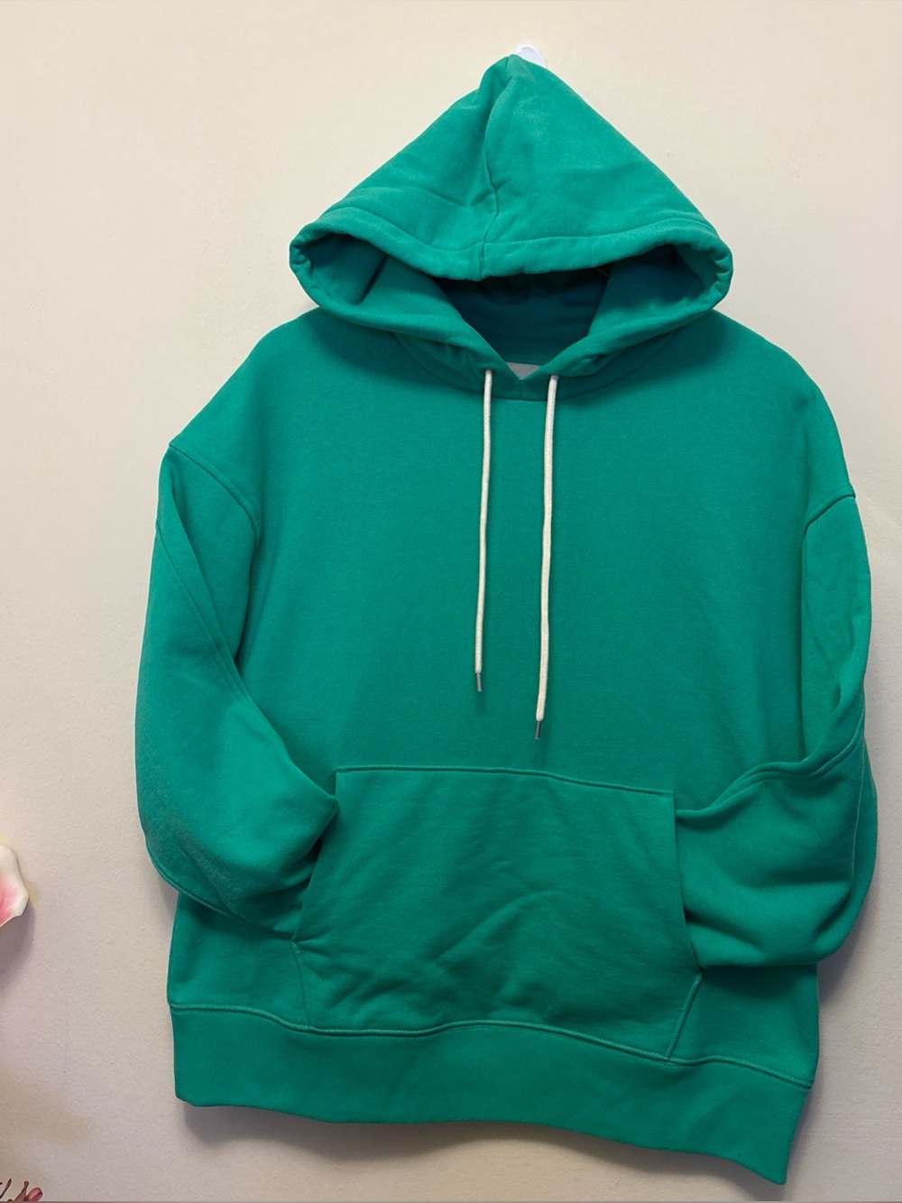 Everlane The Track Organic Cotton Popover Mint Green Hoodie Sweatshirt